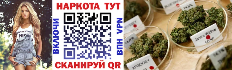 Лсд 25 Грязовец