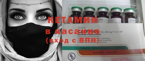 стафф Алзамай