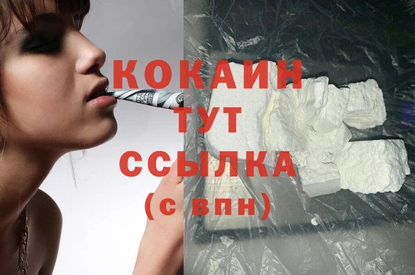 стафф Алзамай