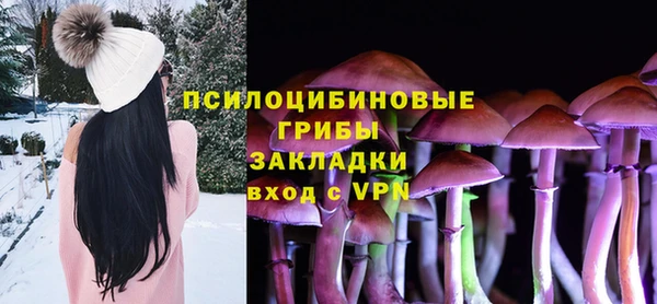 скорость Няндома