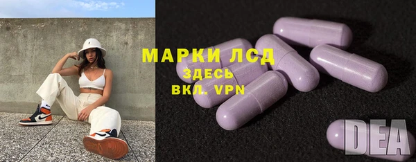 стафф Алзамай